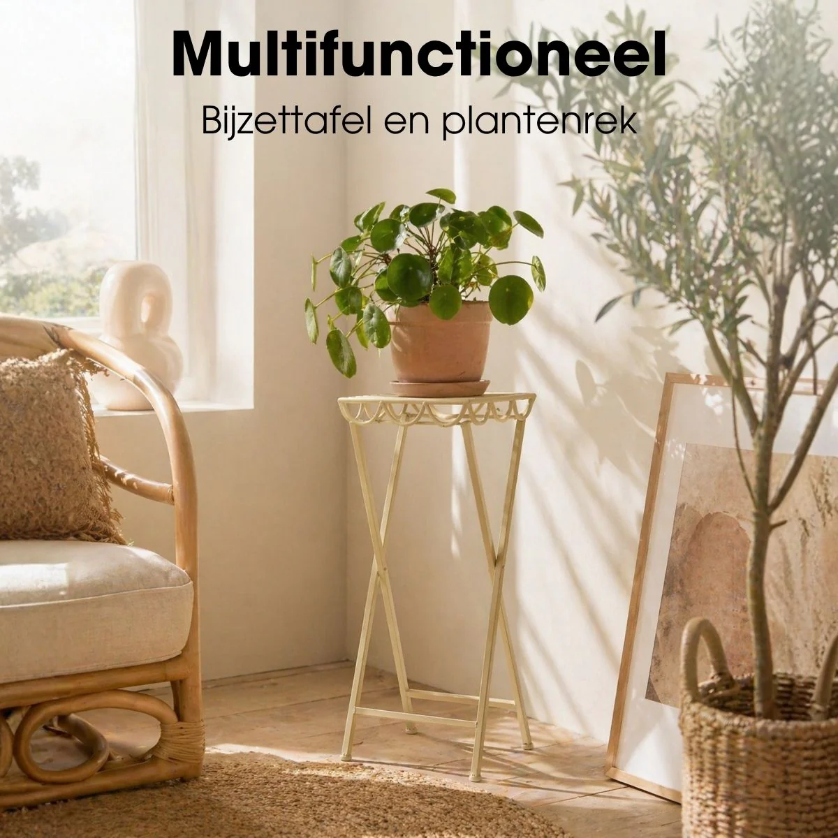 Miniatuur 7