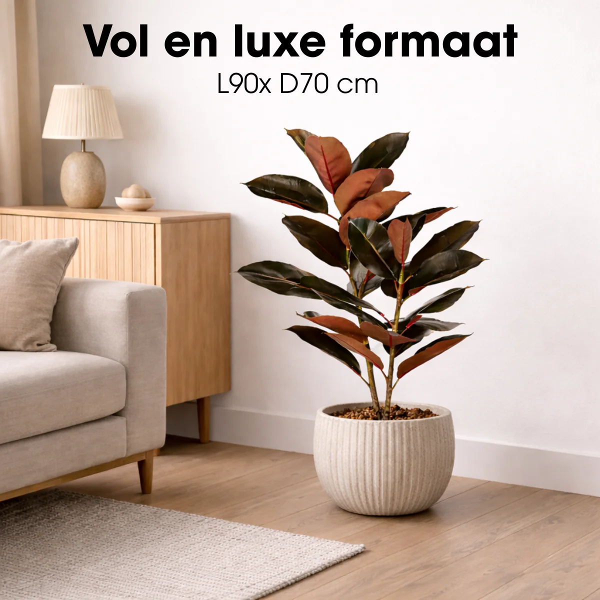Miniatuur 3