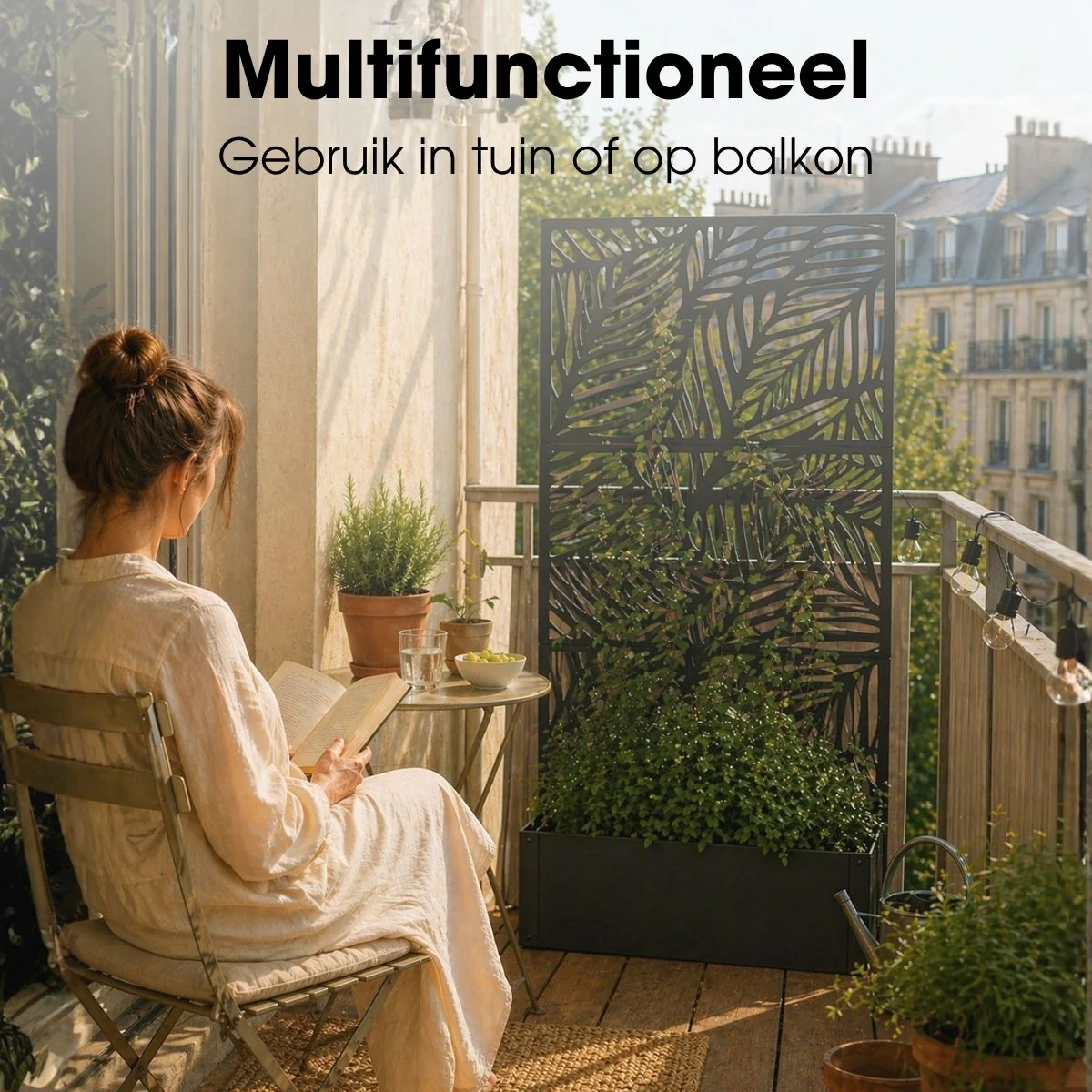 Miniatuur 7
