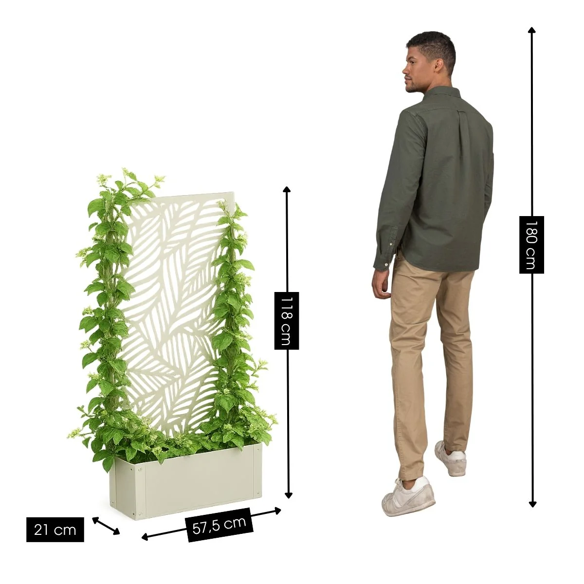 Miniatuur 2