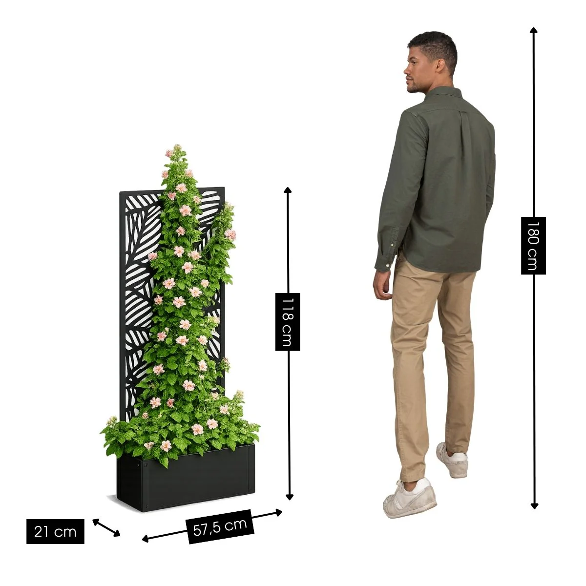 Miniatuur 2