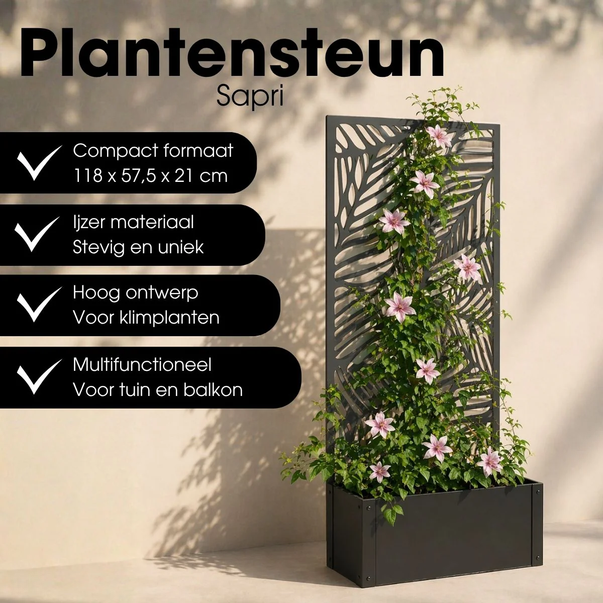 Miniatuur 4