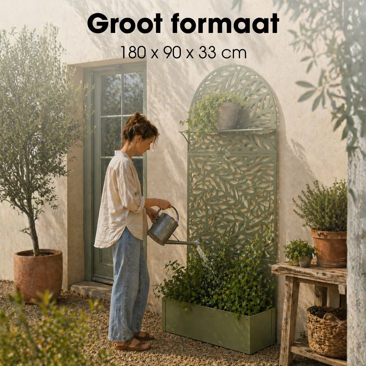 Miniatuur 3