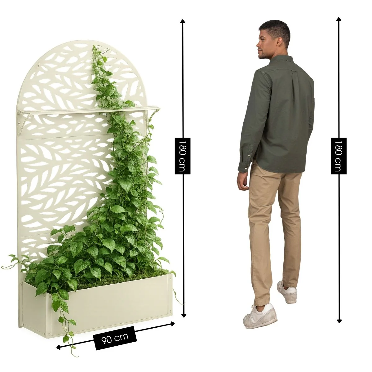 Miniatuur 2