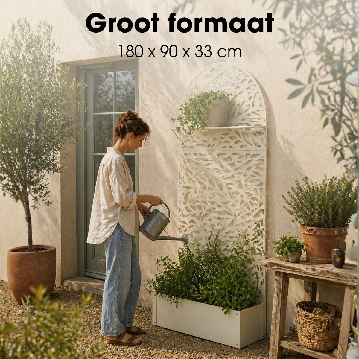 Miniatuur 3