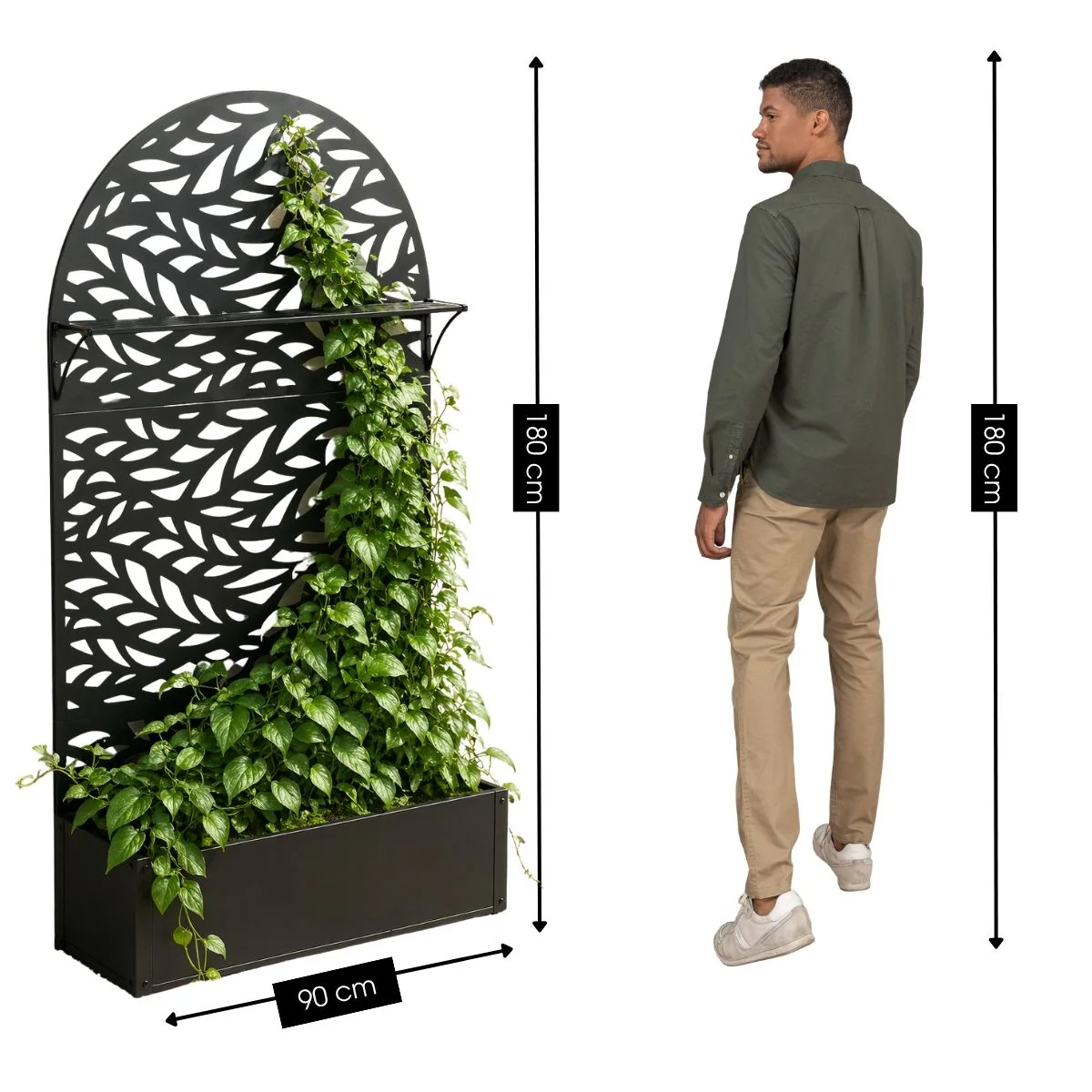 Miniatuur 2