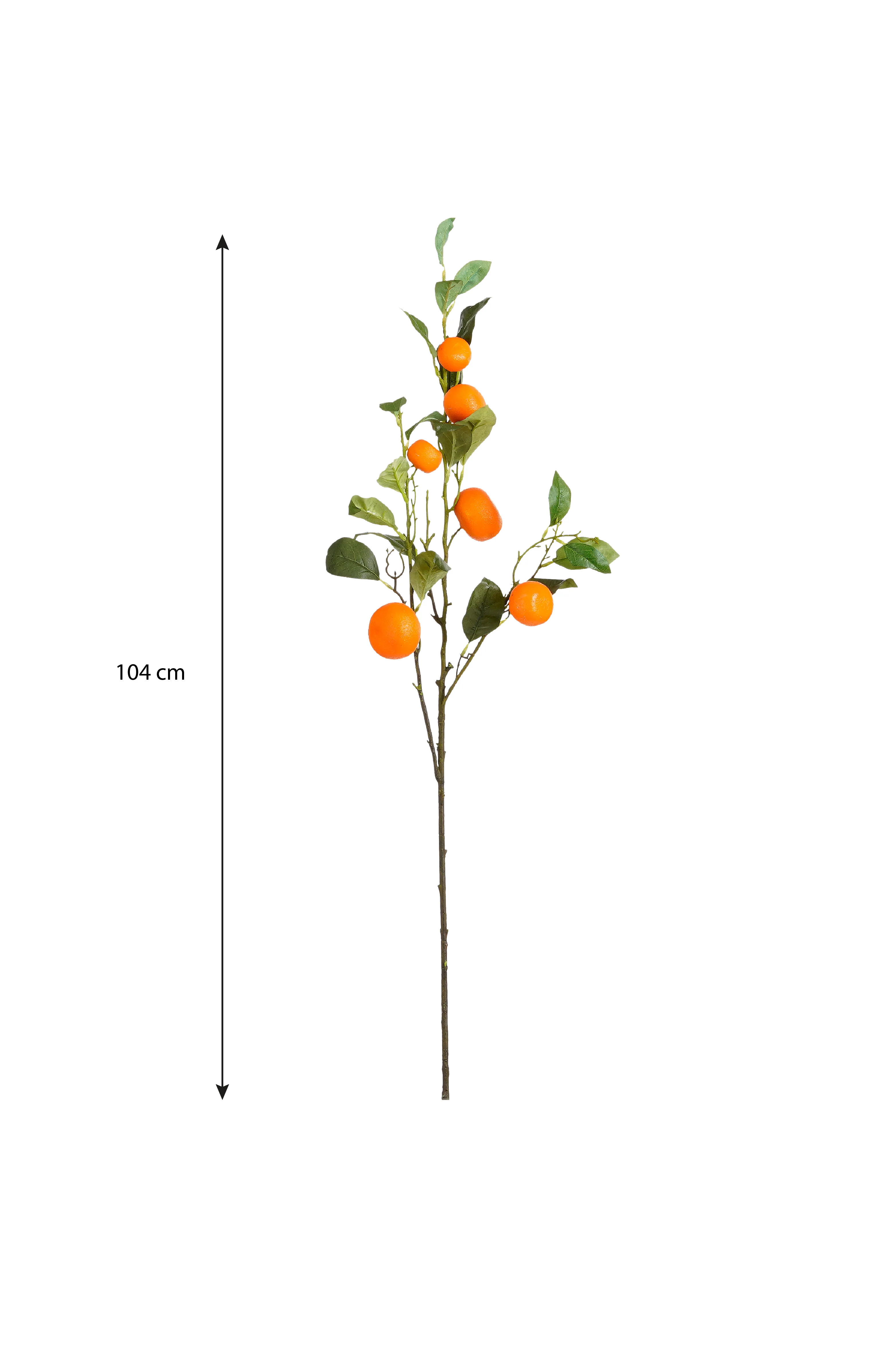 Miniatuur 4