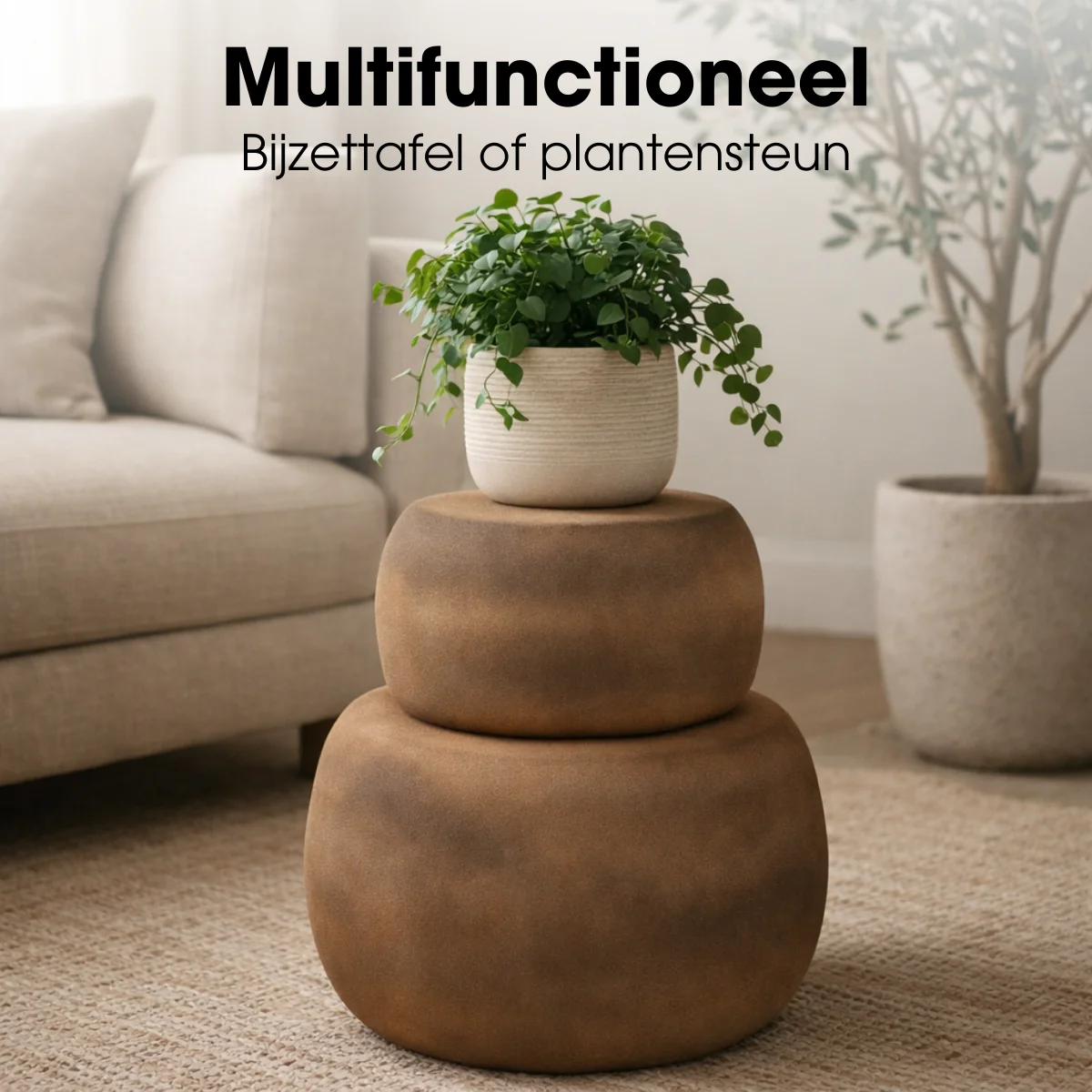 Miniatuur 6