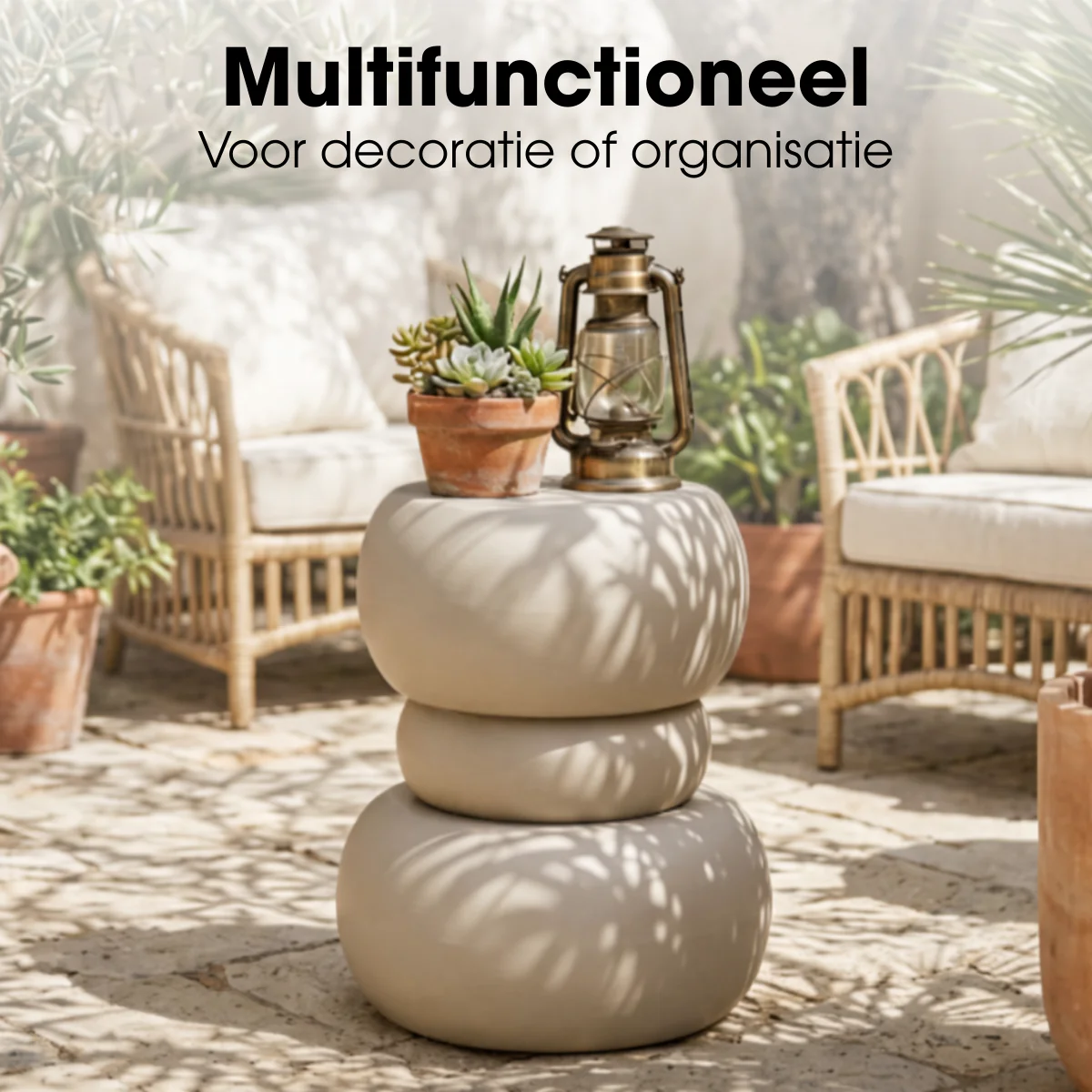 Miniatuur 5