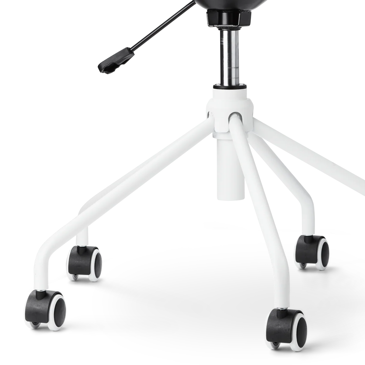 Miniatuur 5