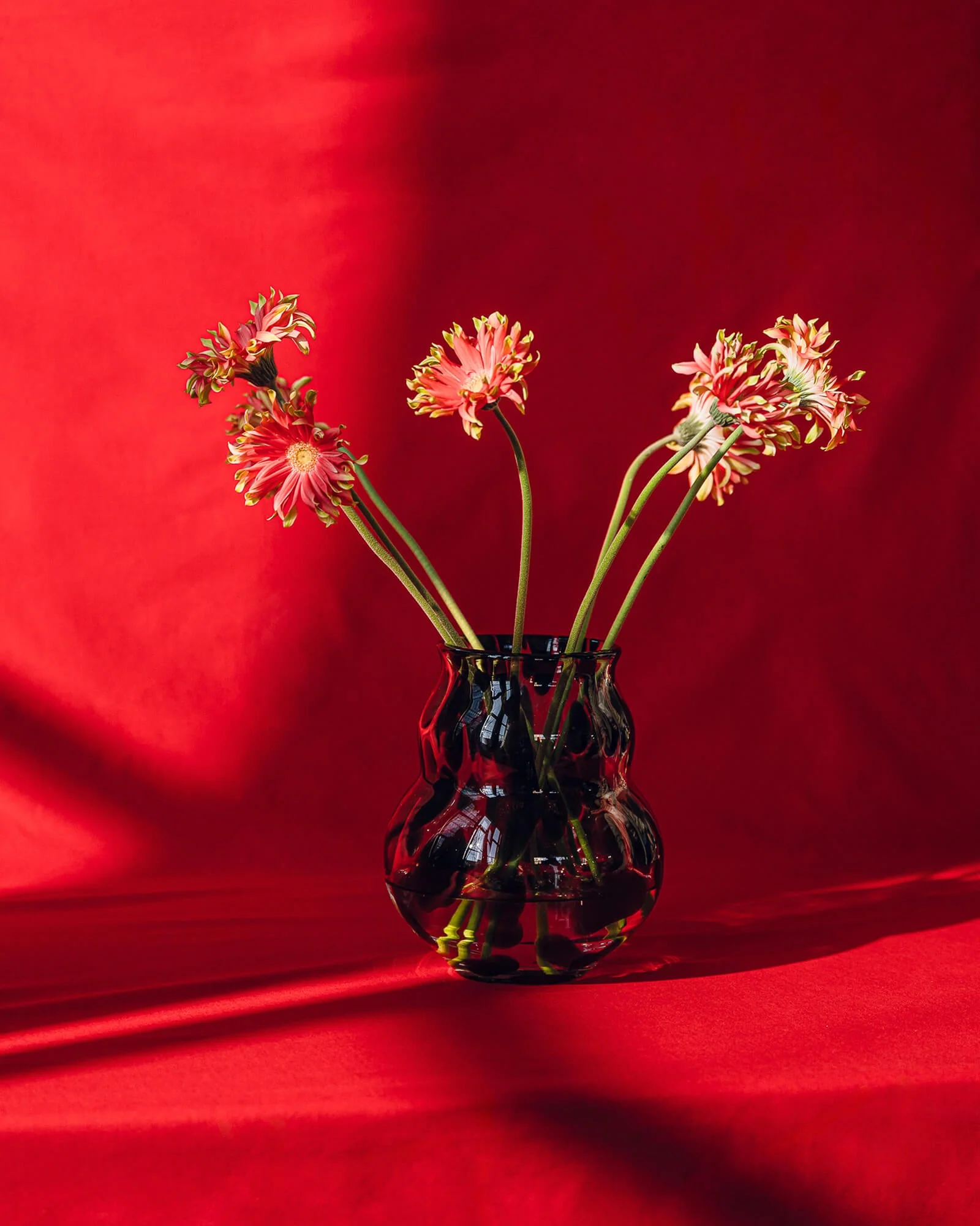 Miniatuur 7