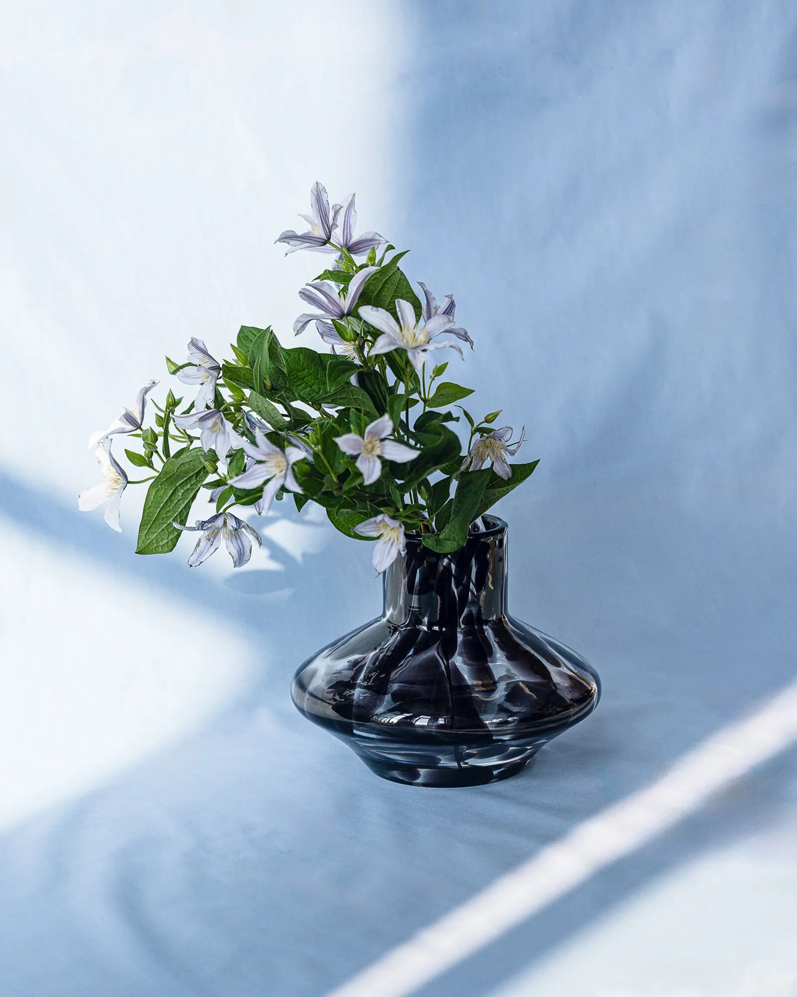 Miniatuur 6