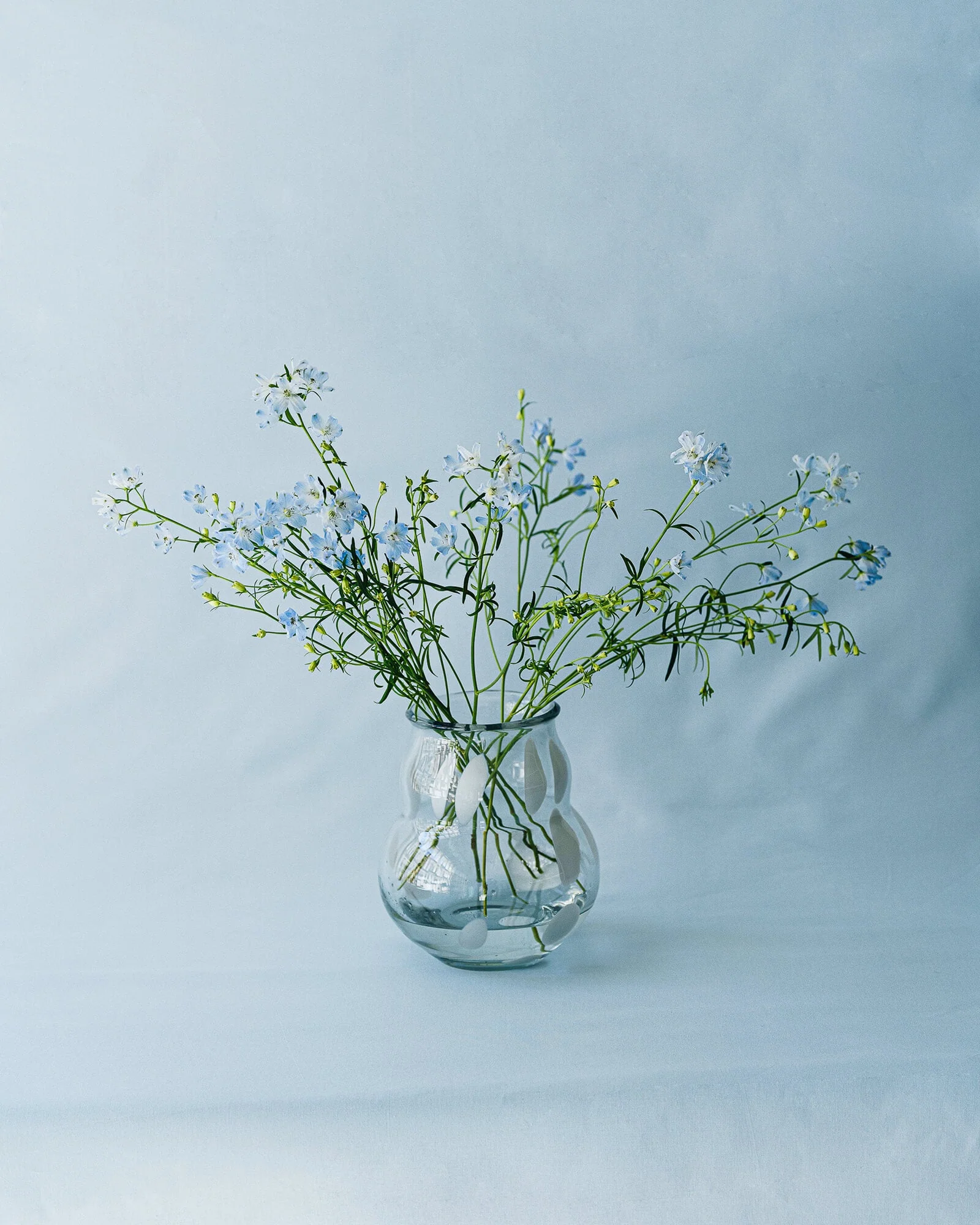 Miniatuur 8