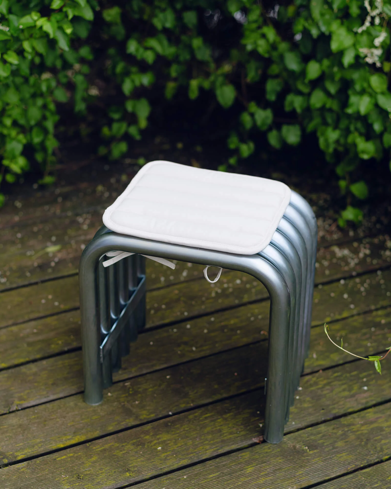 Miniatuur 2