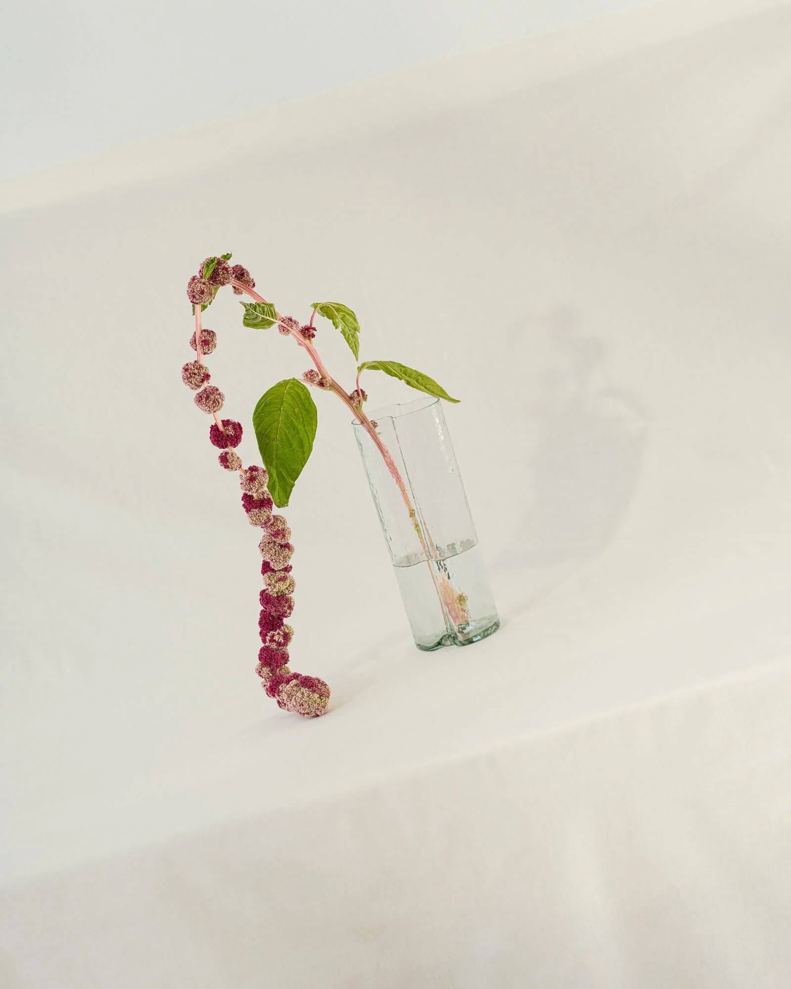 Miniatuur 4
