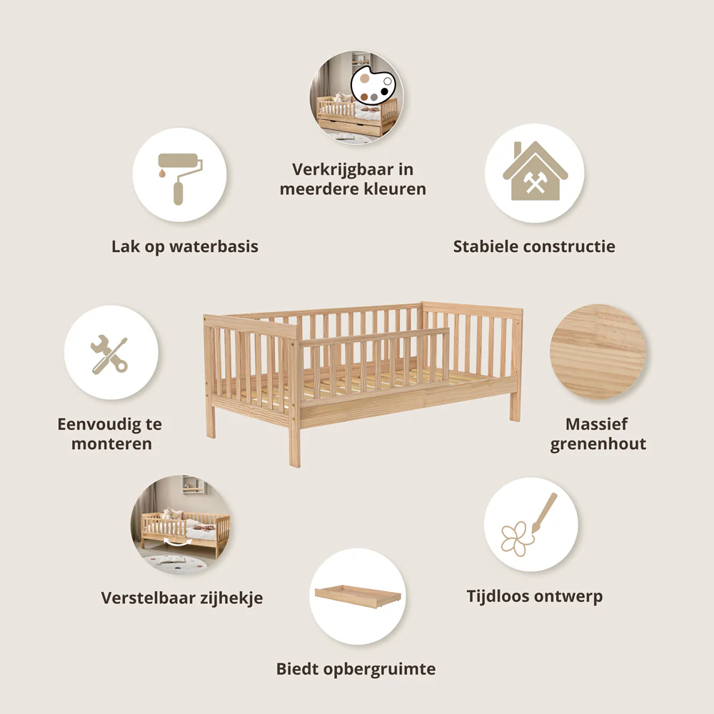 Miniatuur 3