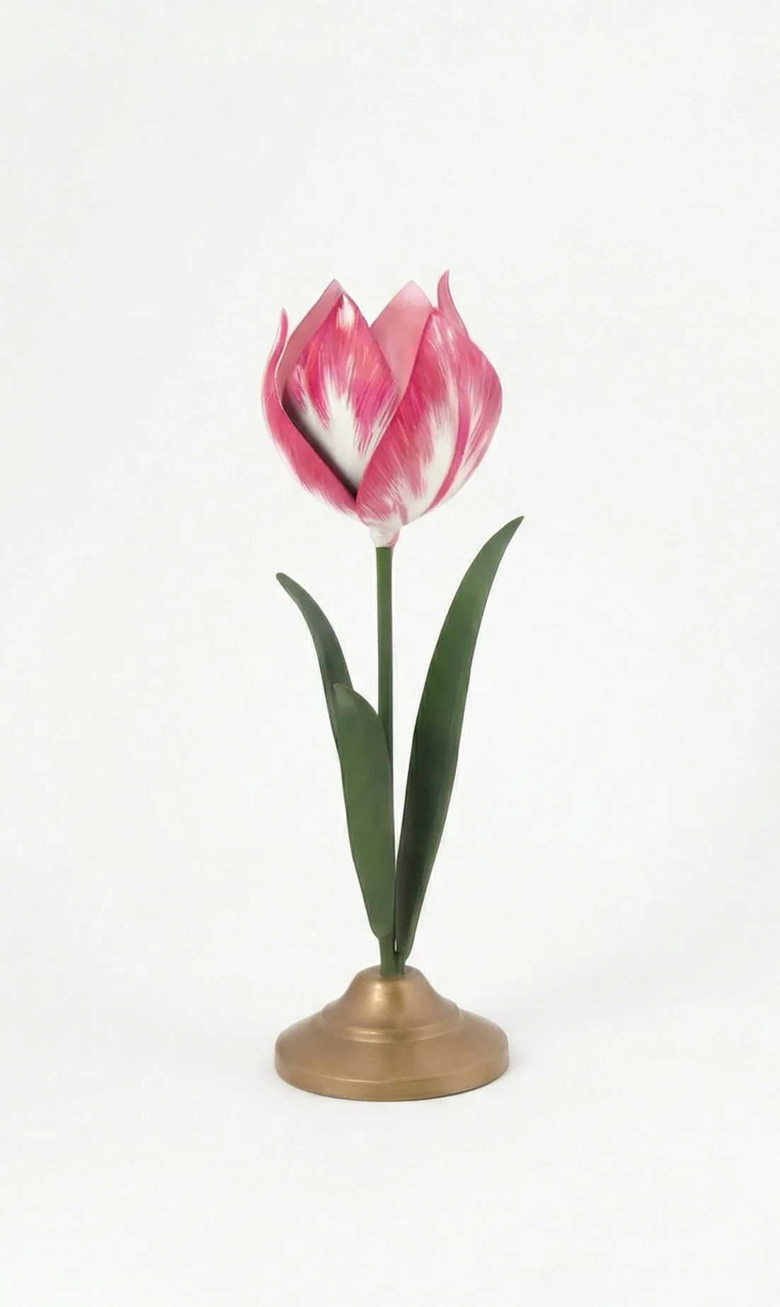 Miniatuur 3