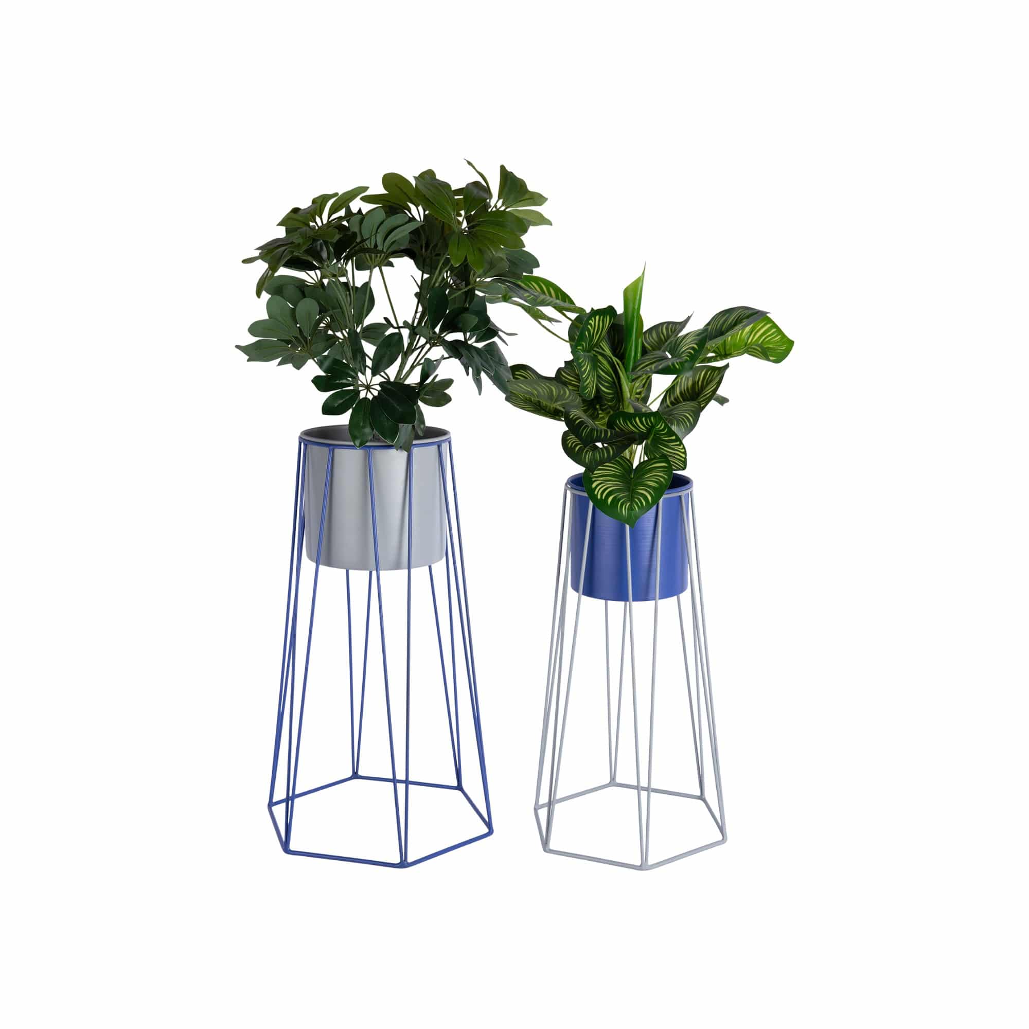 Miniatuur 3
