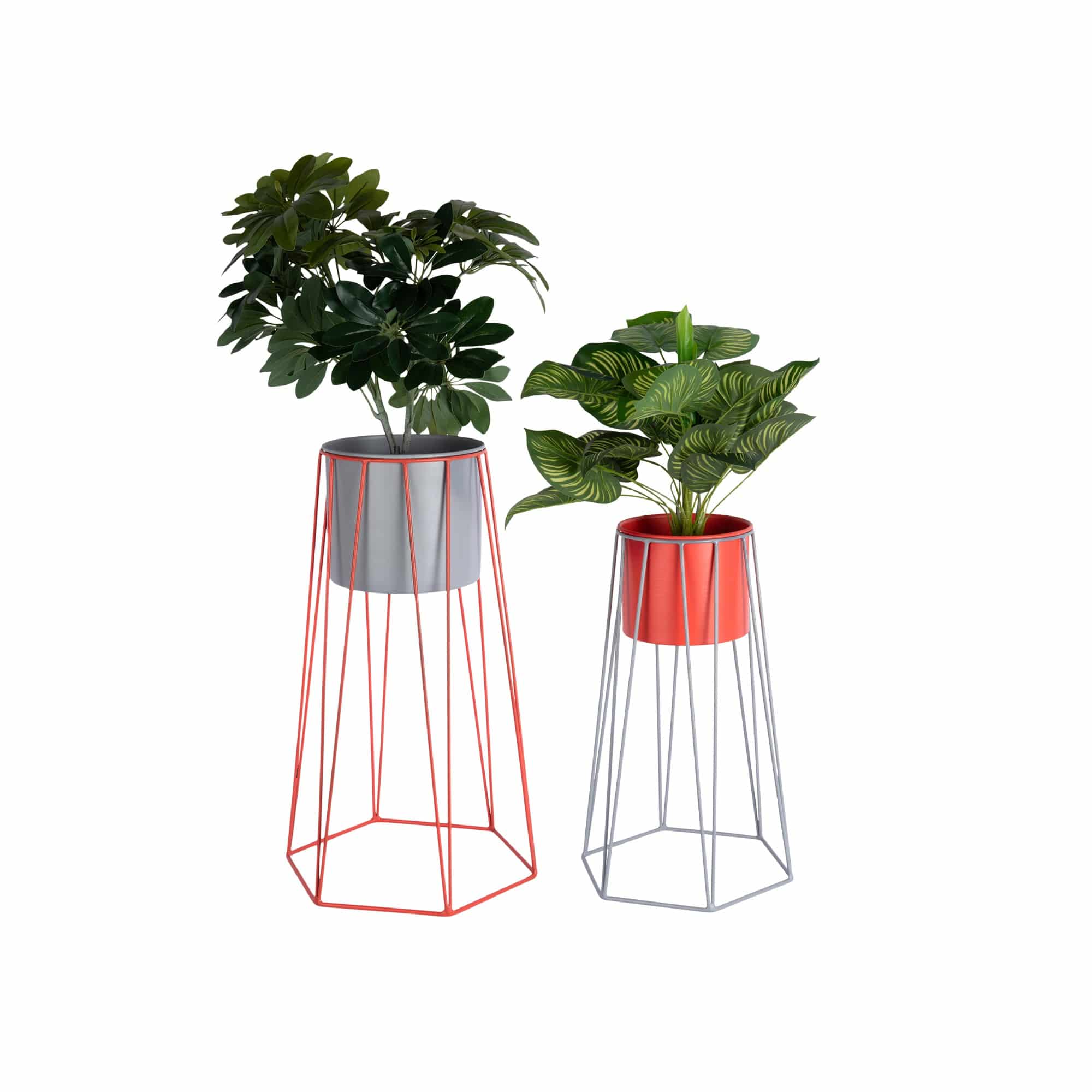Miniatuur 3