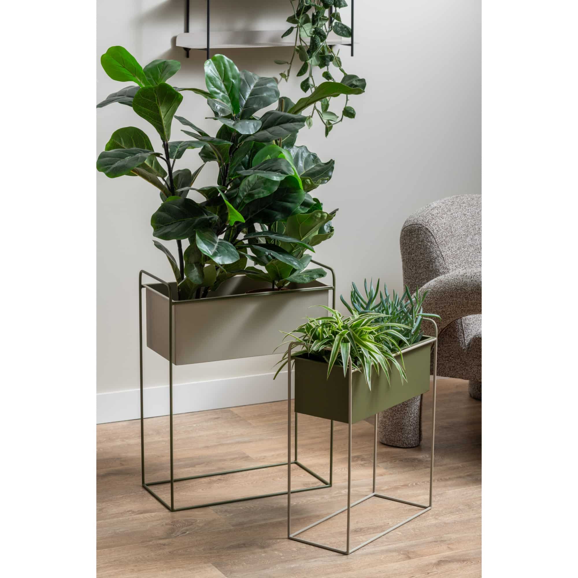 Miniatuur 2