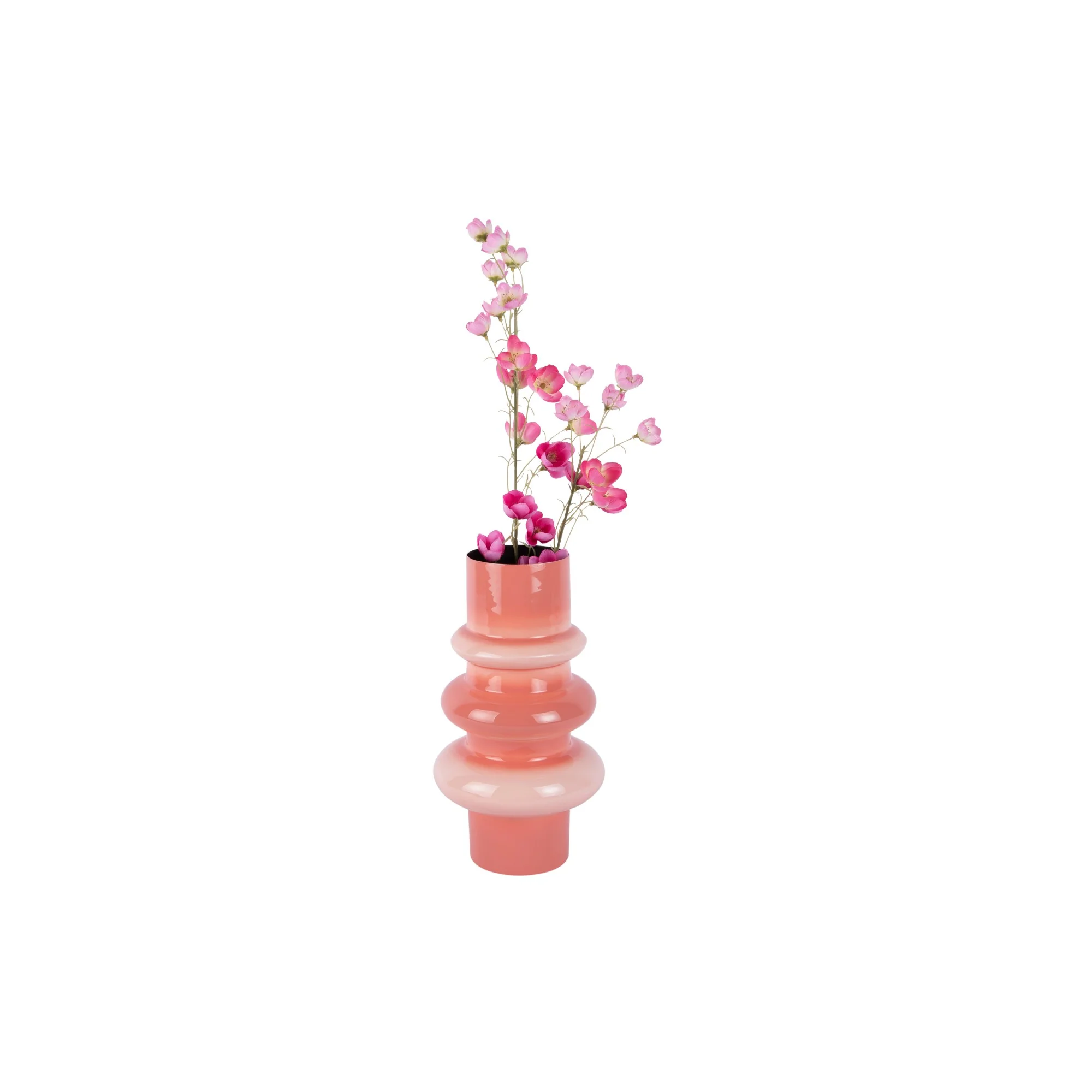 Miniatuur 3