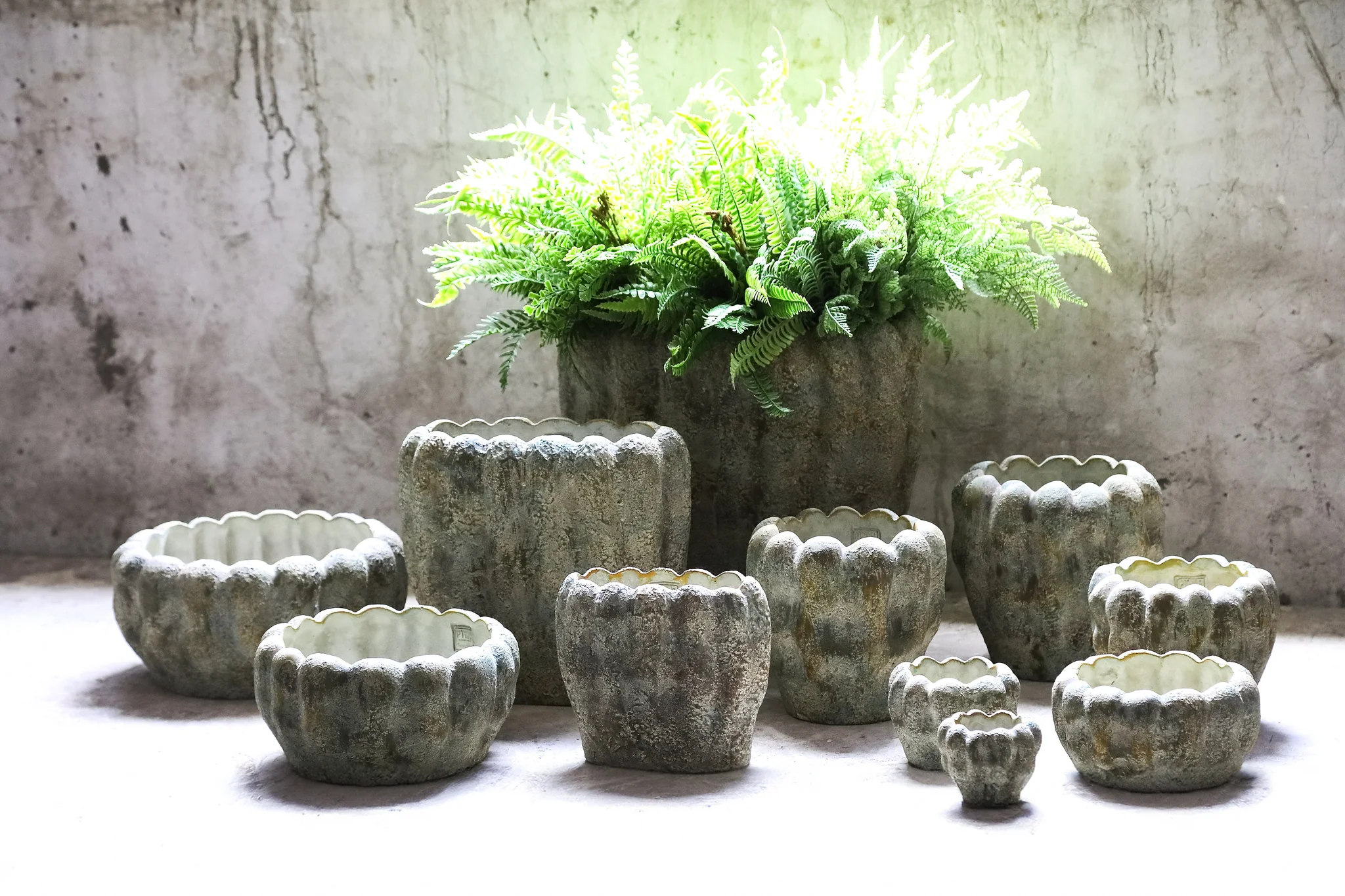 Miniatuur 2