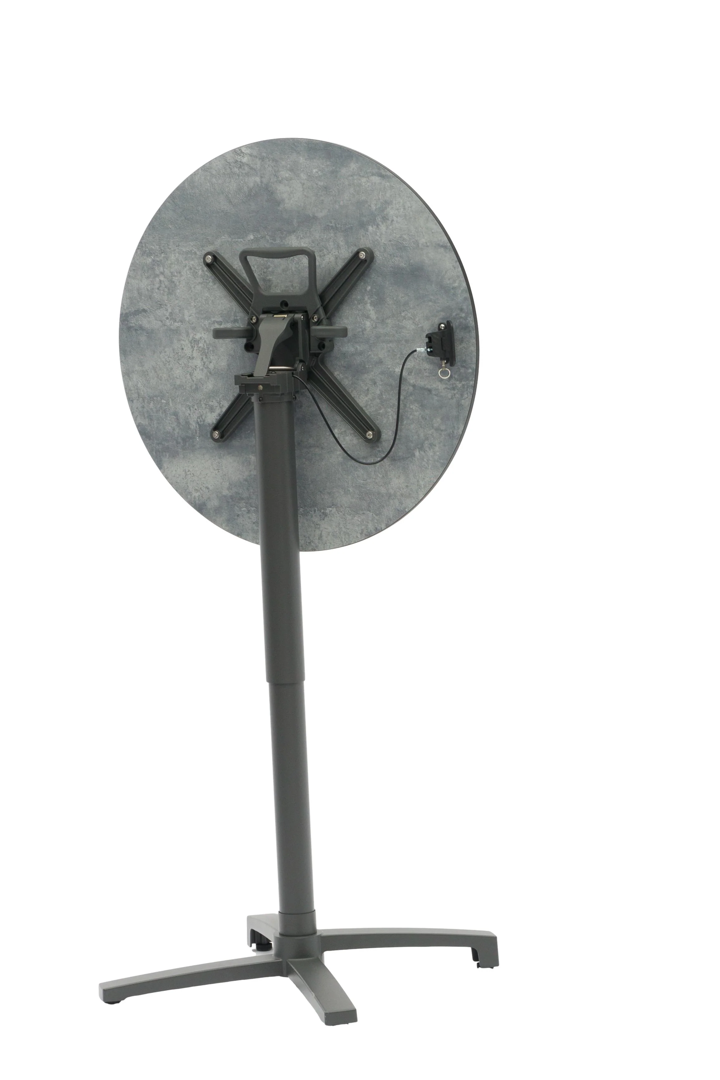 Miniatuur 3
