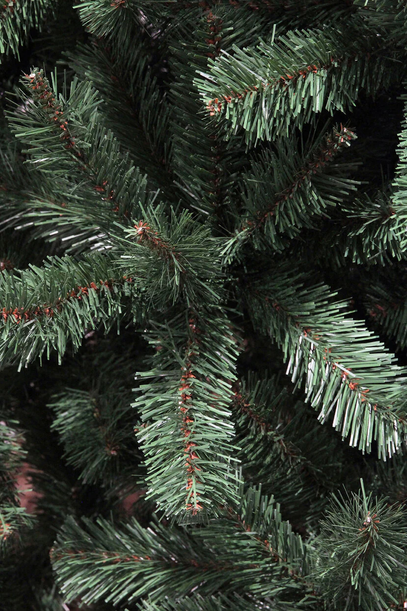 Miniatuur 3