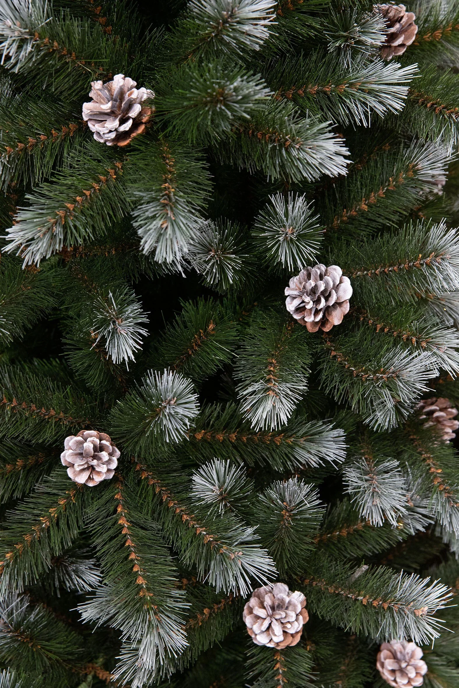 Miniatuur 2