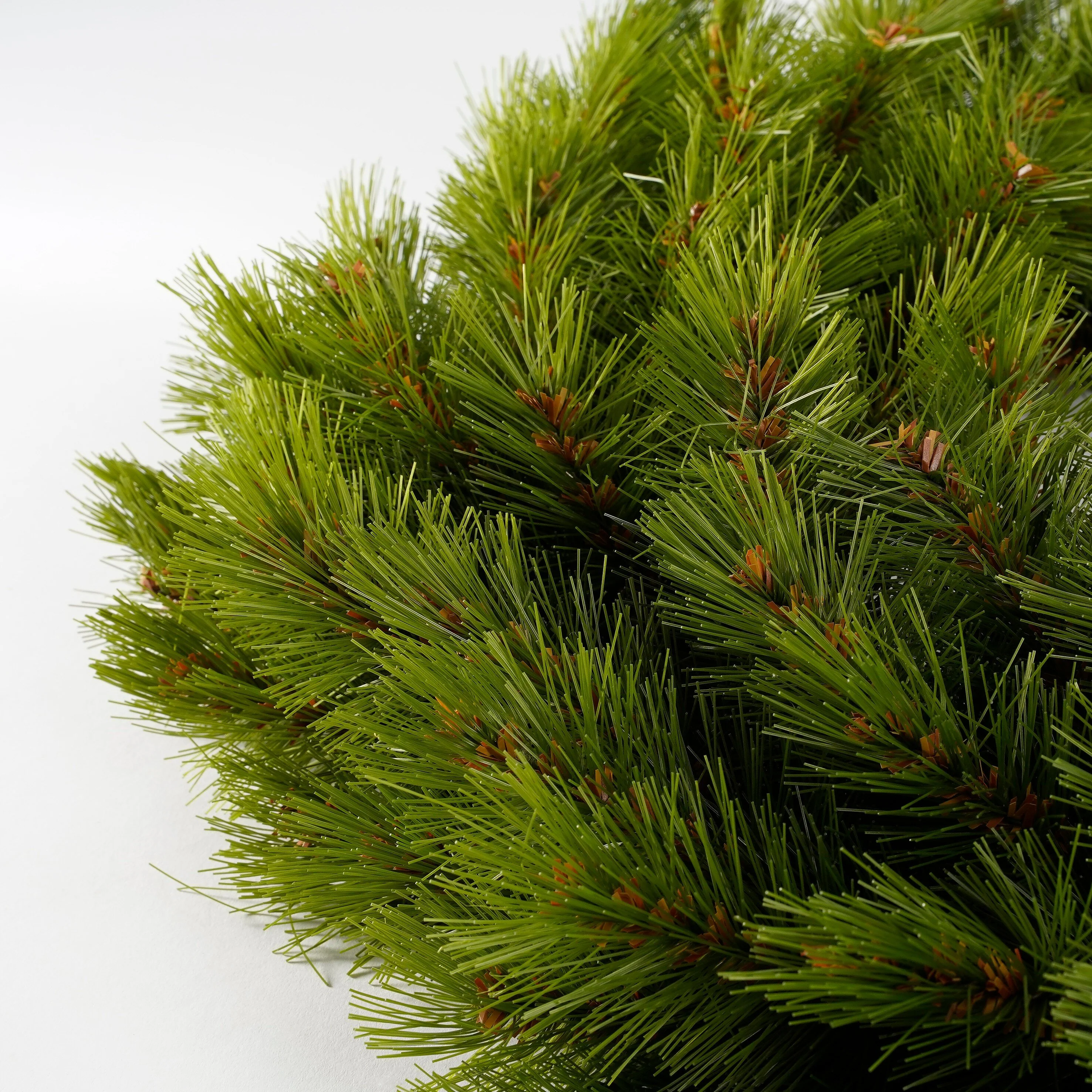 Miniatuur 3