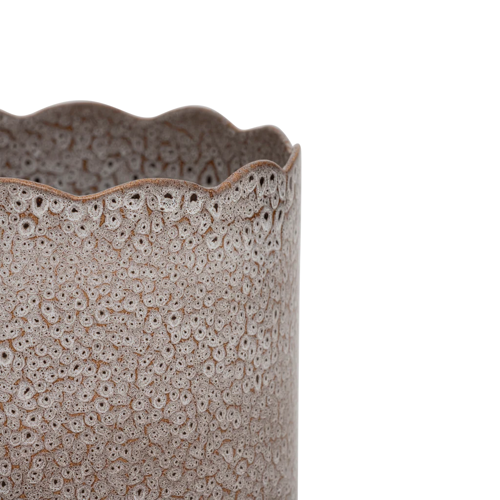 Miniatuur 4