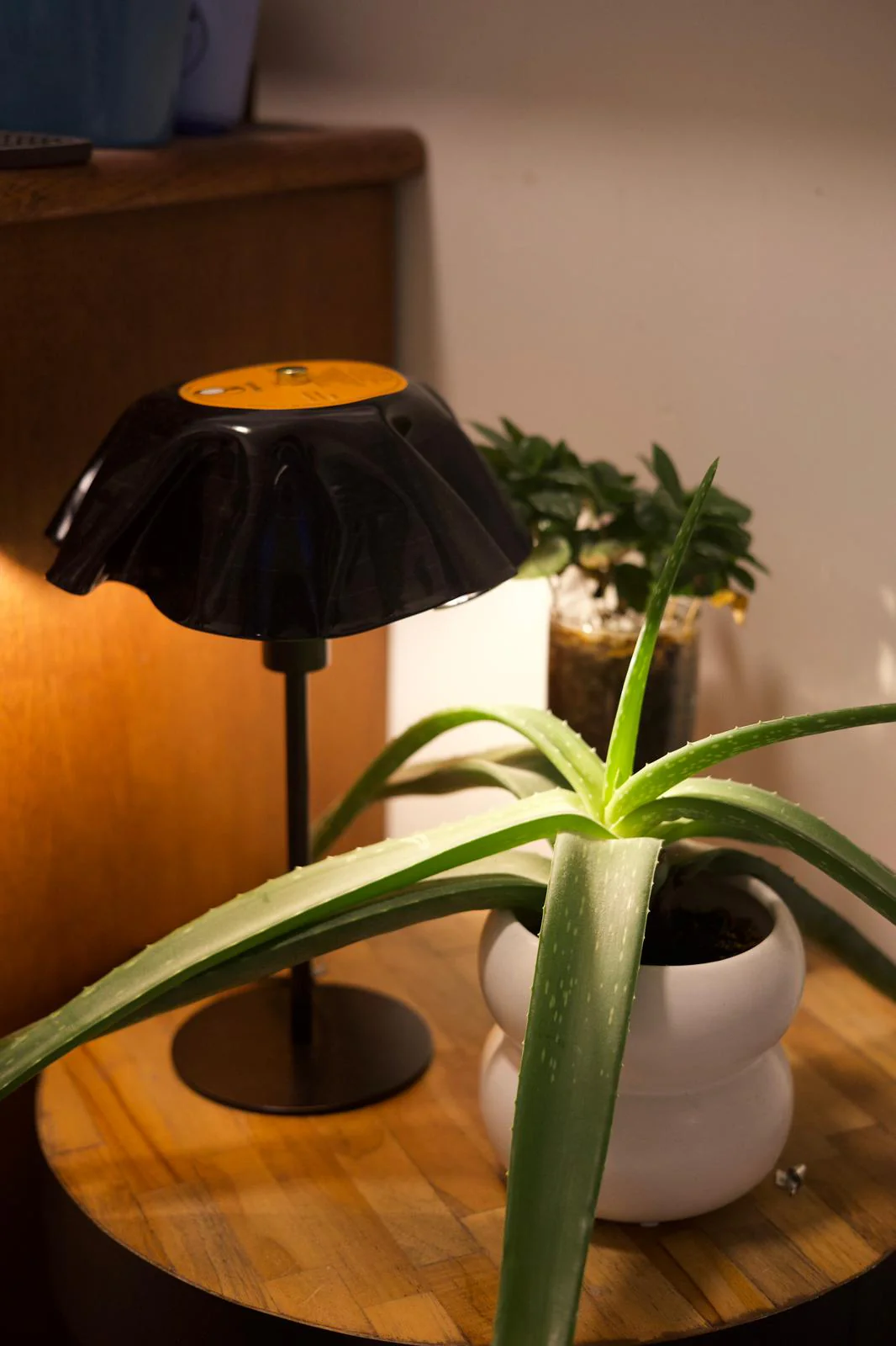 Miniatuur 2