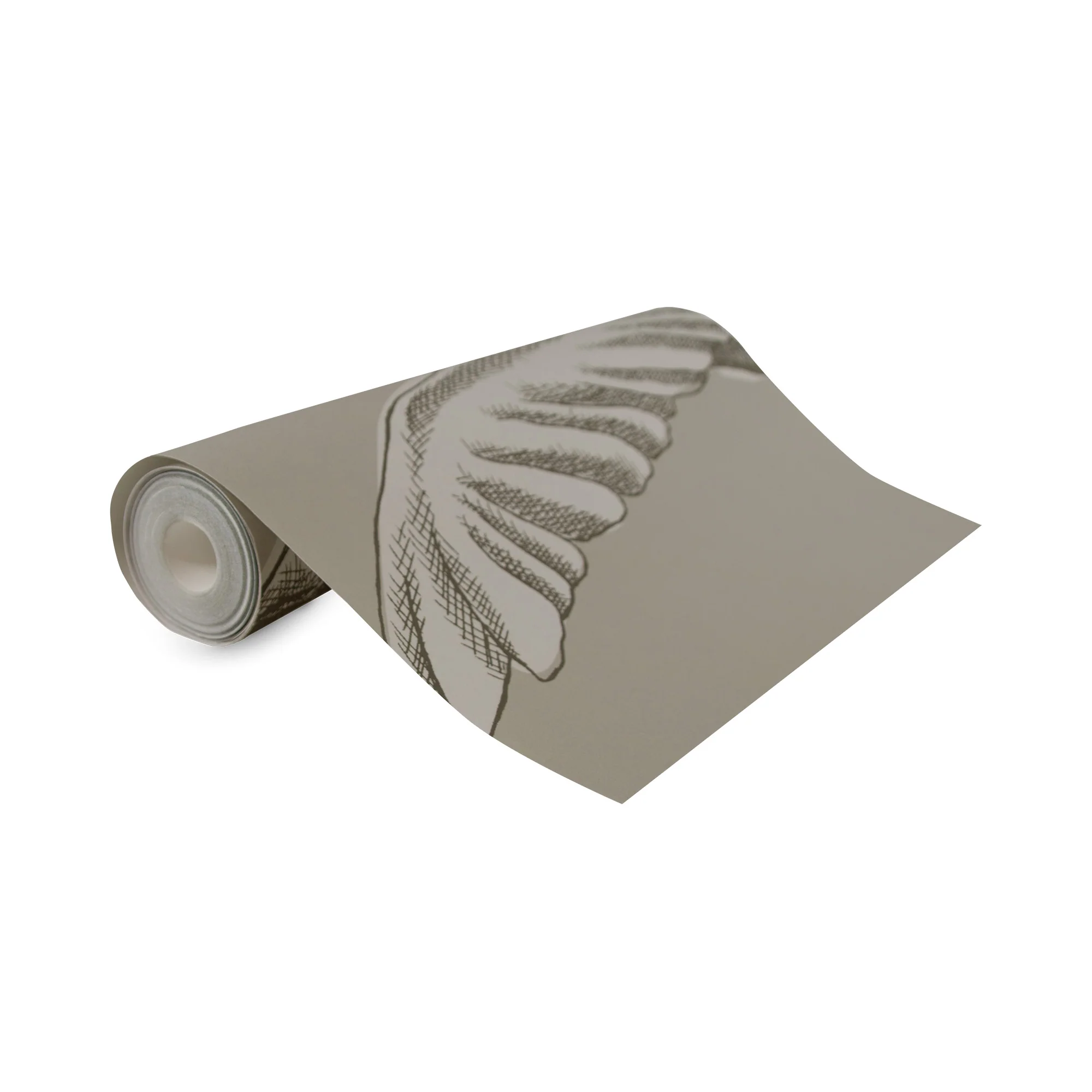 Miniatuur 6