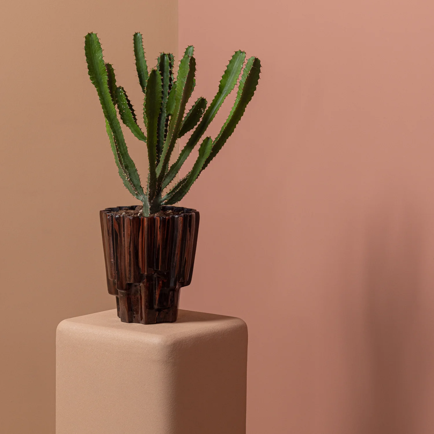 Miniatuur 5