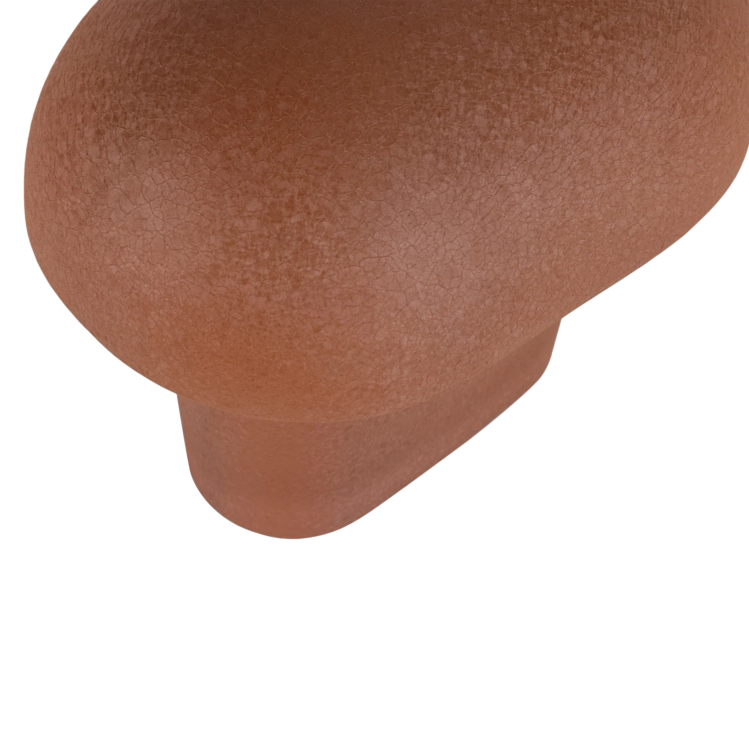 Miniatuur 5